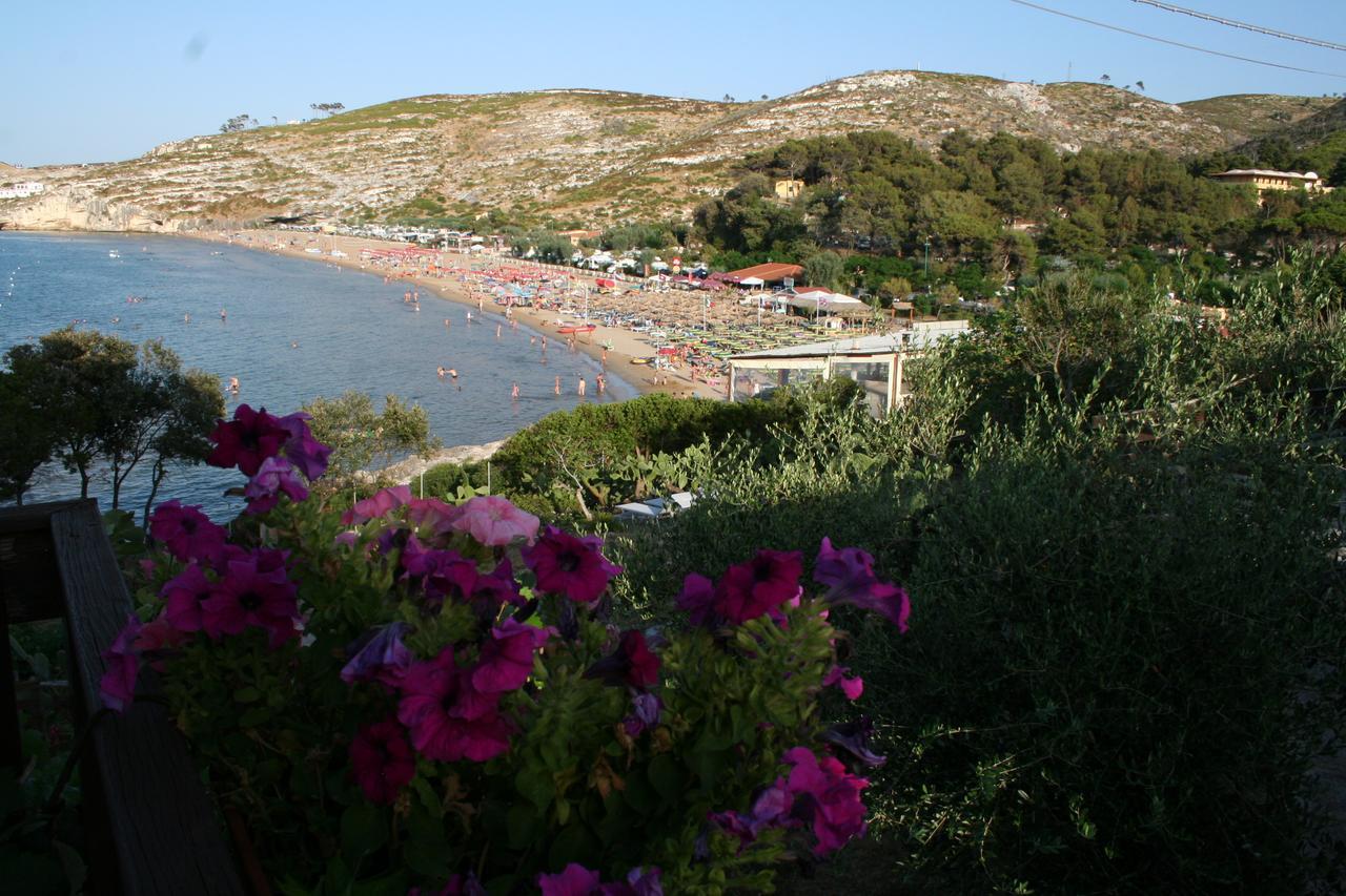 Albergo"Villa Biscotti" Peschici Εξωτερικό φωτογραφία